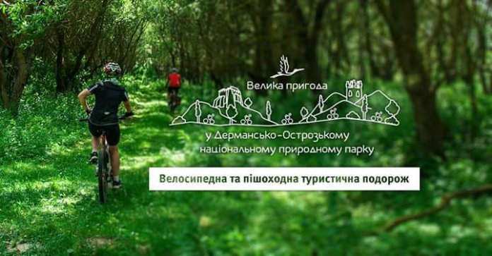 FB_IMG_1498407519258