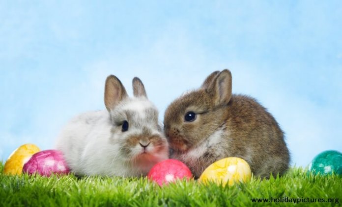 easter_bunny