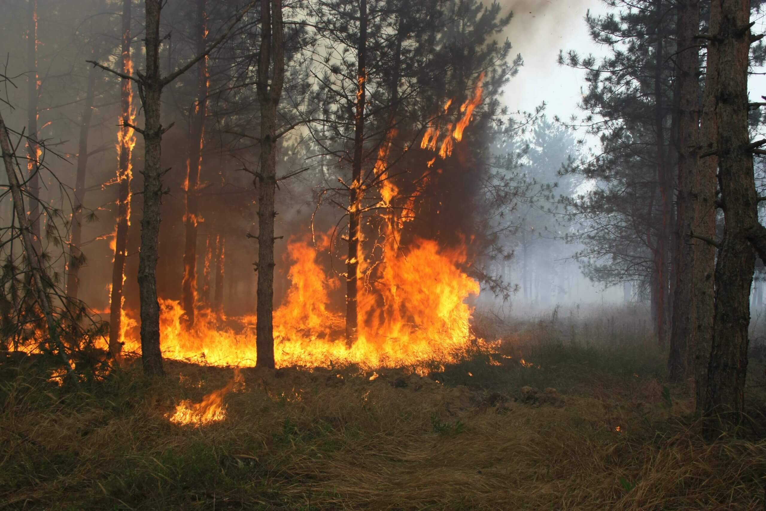 У Рівненській області – надзвичайний рівень пожежної небезпеки